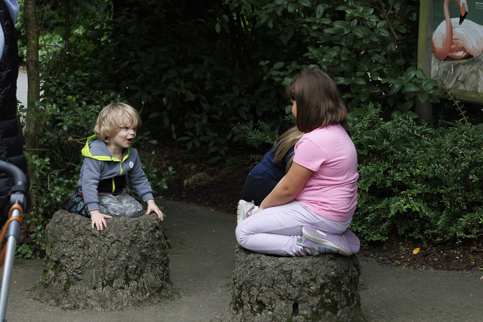Woodland Park Zoo — photo 35